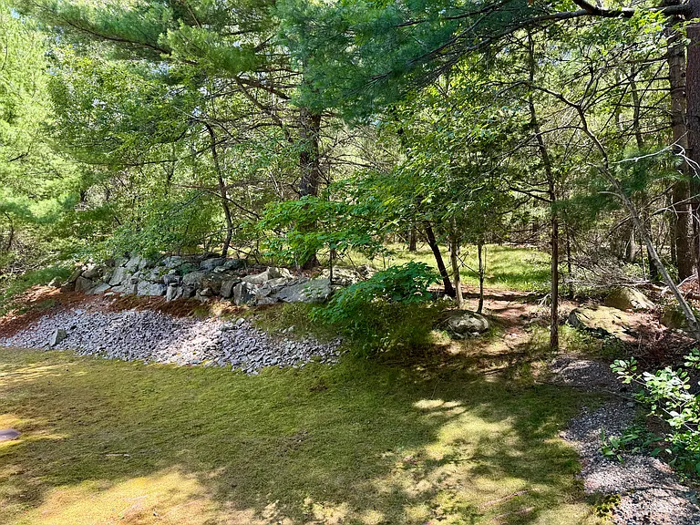 Quiet, Wooded Yard