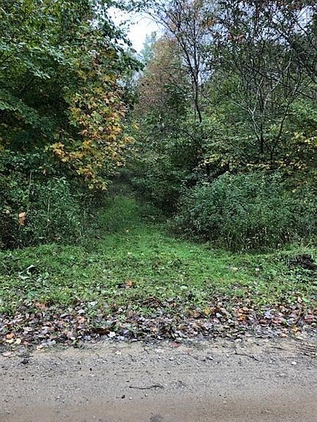 2nd image of 291 Falls Rd
