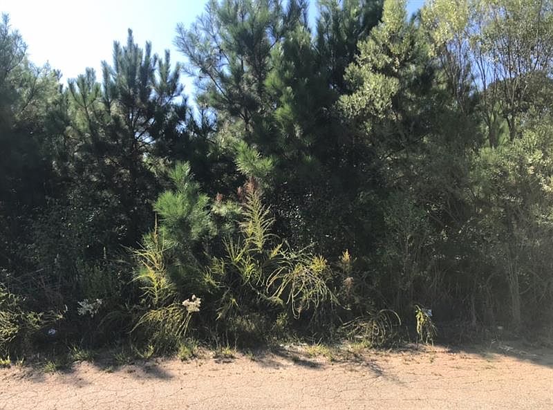 2nd image of 8642 Webb Rd
