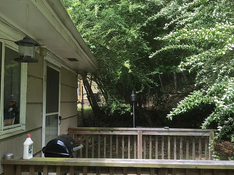 Back Yard Deck