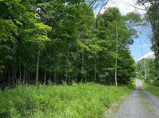 L11 C Buel Rd, Gilboa, NY 12076