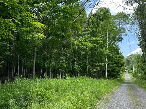 L11 C Buel Road, Conesville, NY 12076