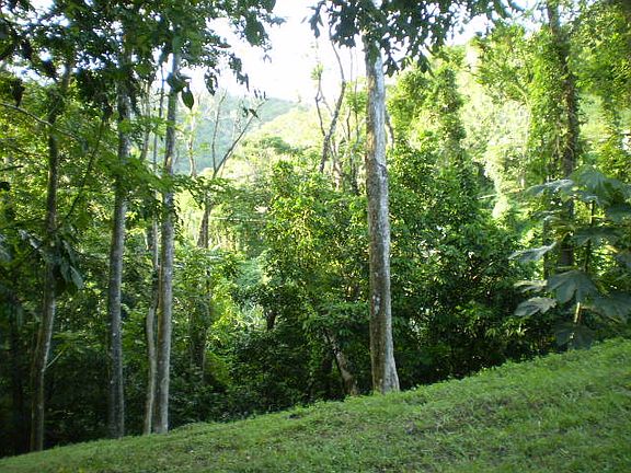 3rd image of Lot 17 Rd 174 Sector Munoz Juan Ascensio War