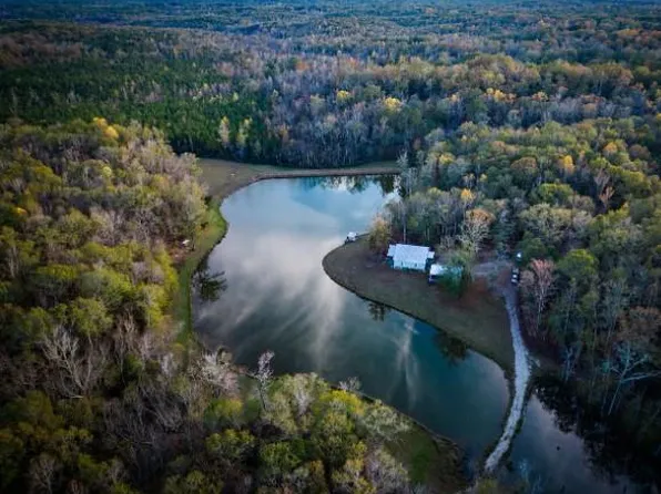 10409 Bullock Co Rd #7, Union Springs, AL 36089