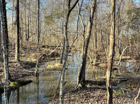 0 Crawfordville Rd, White Plains, GA 30678