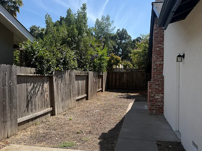 back yard