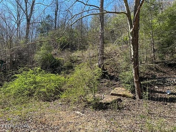 2nd image of 4653 Highway 25w S