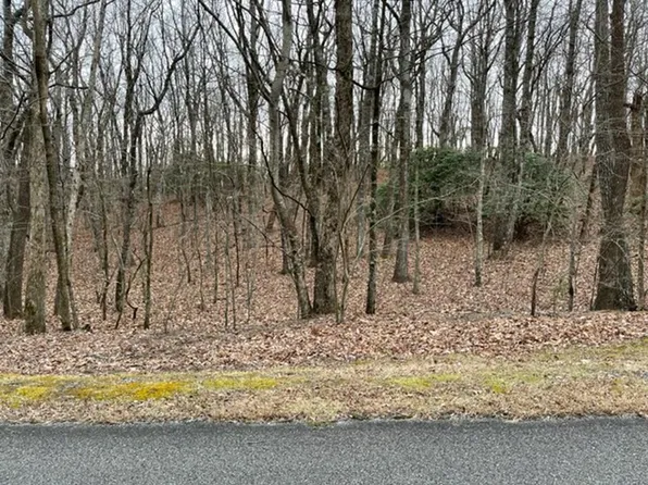 184 Saint Andrews Way, Ellijay, GA 30536