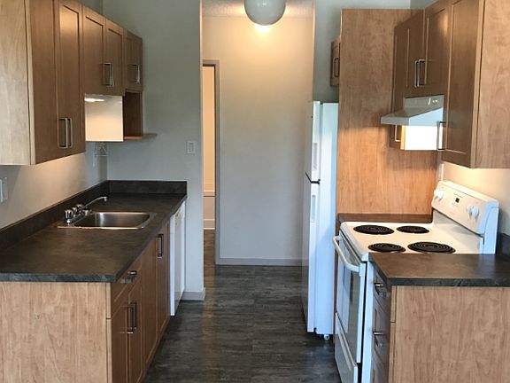 Renovated Kitchen