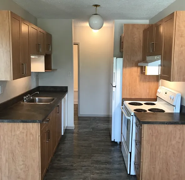 Renovated Kitchen