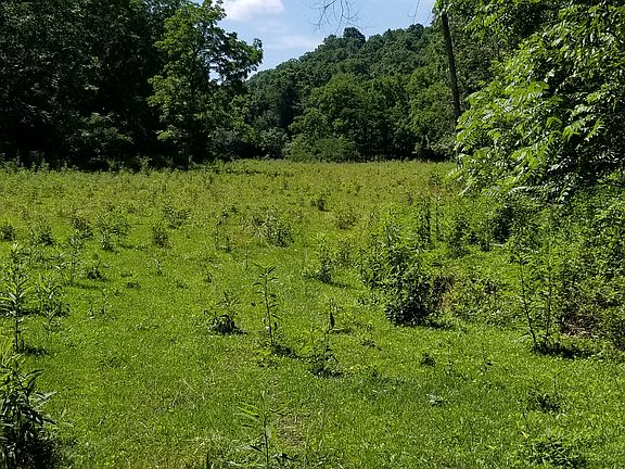 Pasture Acreage 
