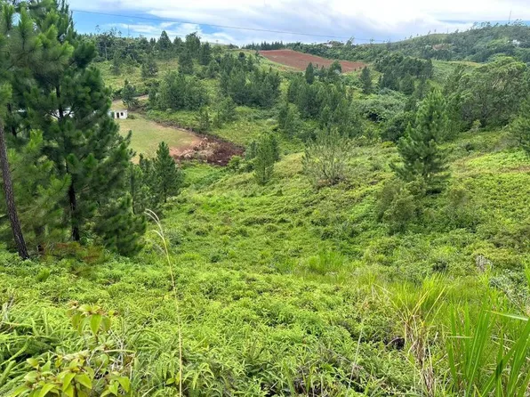 Carr 771 Km 7.9 Bo Barrancas, Barranquitas, PR 00794