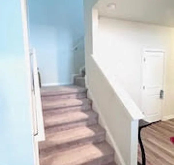 4231 Honeysuckle Vine Dr — Photo 11