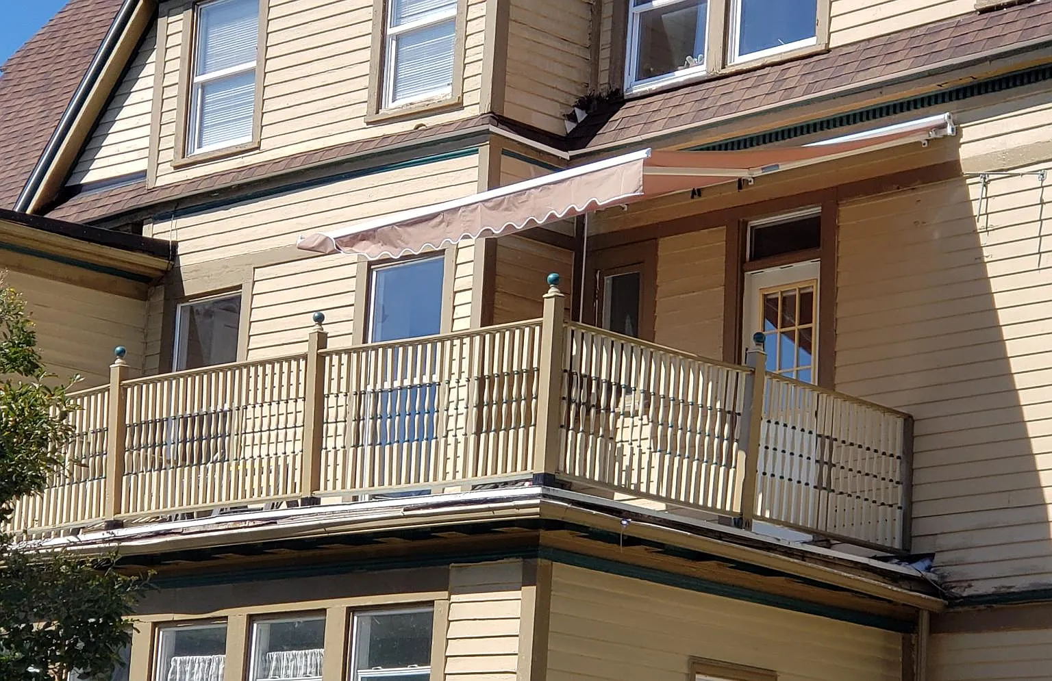 1 bed, 800 sqft, $1,245 — Photo 2