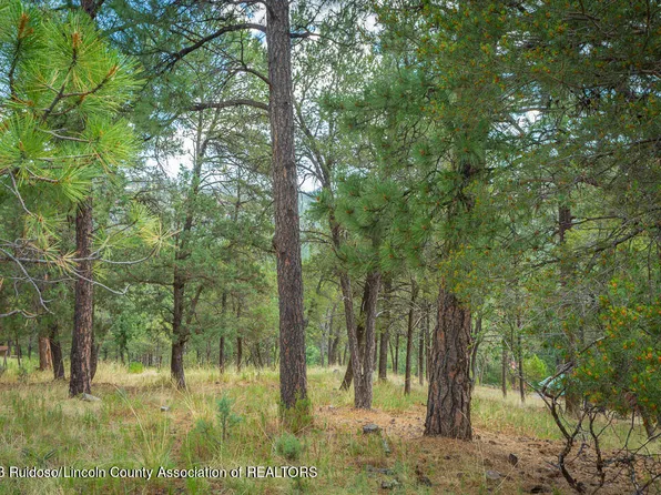 121 Alamo Dr, Ruidoso, NM 88345