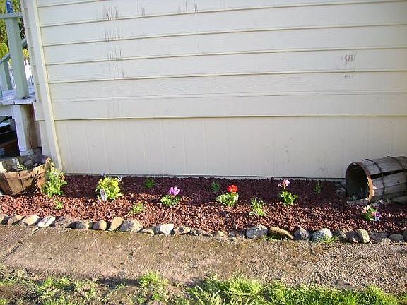 flower bed