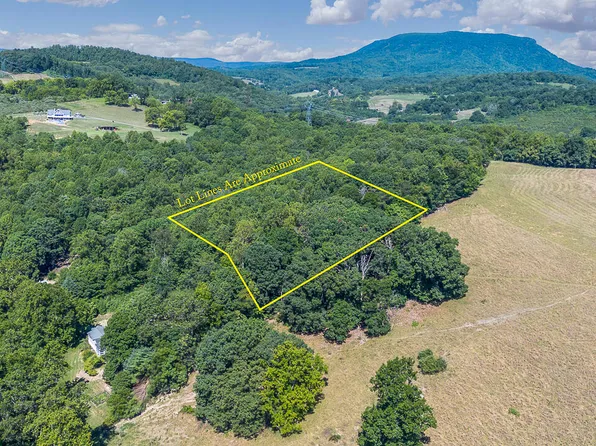 W Oaks Dr, Lexington, VA 24450