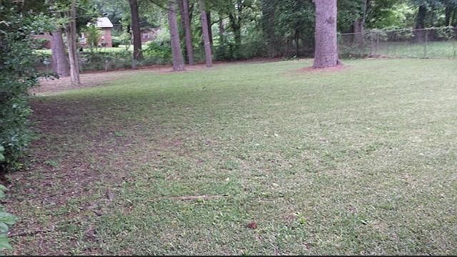 2nd image of 518 Louis Ave