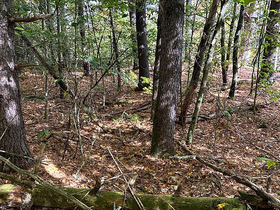 5th image of 0 Moore Hill Lot 1 Road