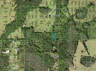 Inaccessible Tracts, Polk City, FL 33868