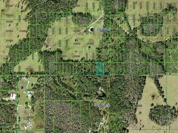Inaccessible Tracts, Polk City, FL 33868