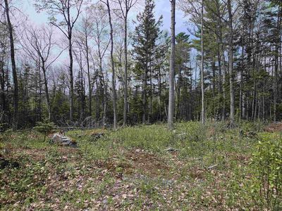 Lot 10.1 Wallace Hill Road, Franconia, NH, 03580