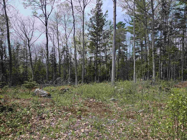 Lot 10.1 Wallace Hill Road, Franconia, NH 03580