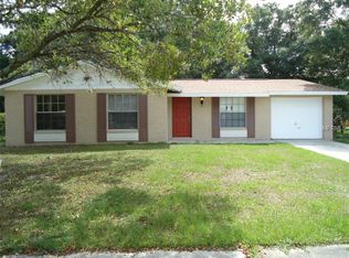 2318 Selkirk St, Valrico, FL 33594