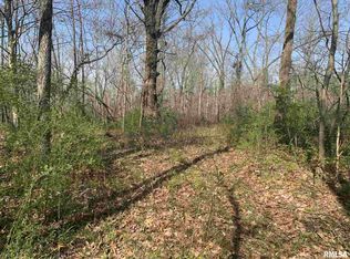 0 Green Street Rd, Centralia, IL 62801