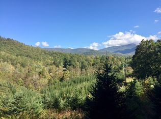 180 Triangle Rd, Tuckasegee, NC 28783