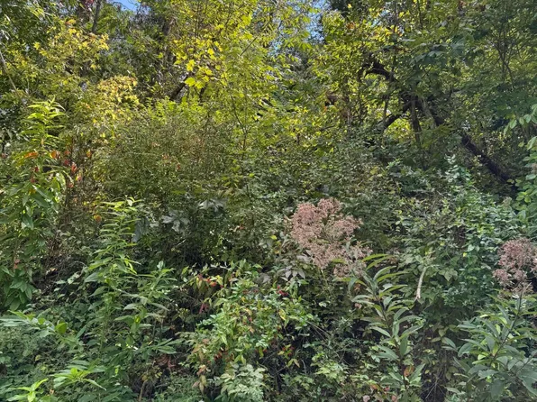 Progress Hill Blvd, Pigeon Forge, TN 37863