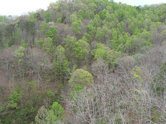 2nd image of 321 Mill Creek Rd