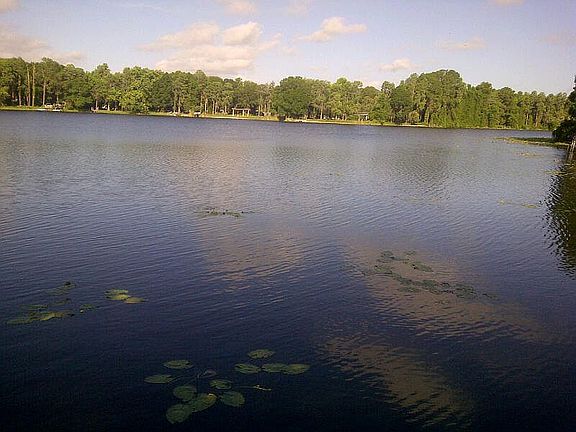 Lake Minneola