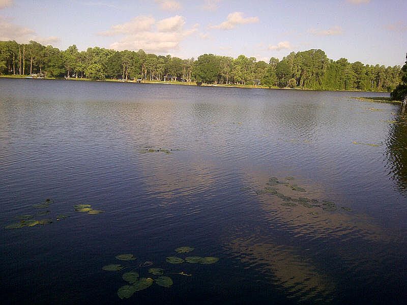 14508 Middlefield Ln, Odessa, FL 33556 Zillow