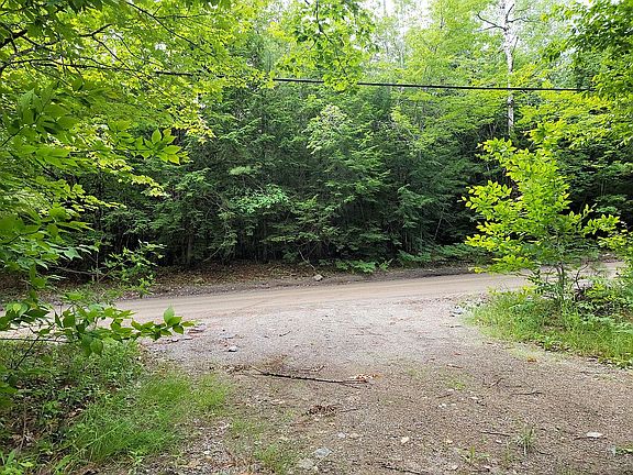 View from driveway
