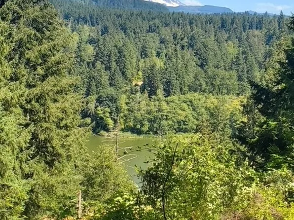 40532 114th Avenue E, Eatonville, WA 98328