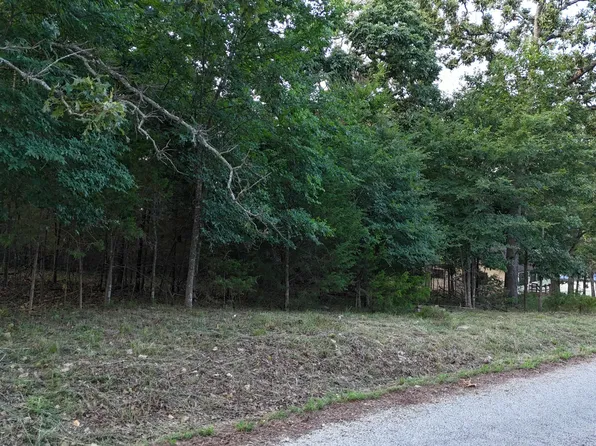 227 & 228 East Mockingbird Drive Lots, Golden, MO 65658