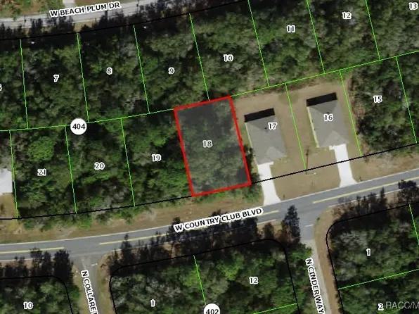 1751 W Country Club Blvd, Citrus Springs, FL 34434