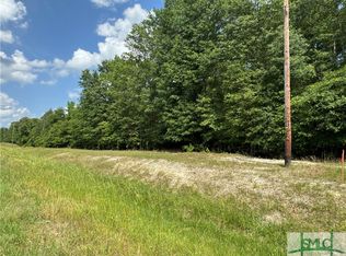 130 Goldkist Rd, Clyo, GA 31303