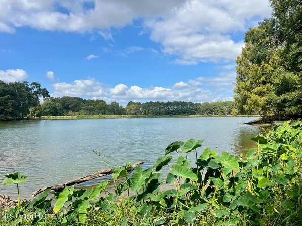 Trails End, Flora, MS 39071