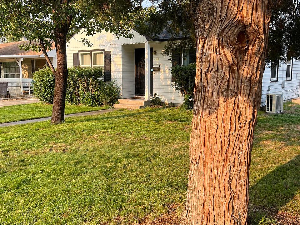 Trees in front yard