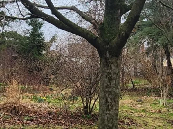 938 Northwood St NE, Grand Rapids, MI 49505