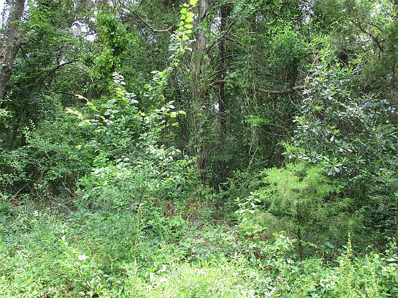 3rd image of Robinson Rd