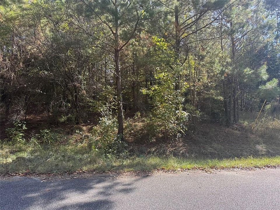 2nd image of 33 Ihagee Creek Cir