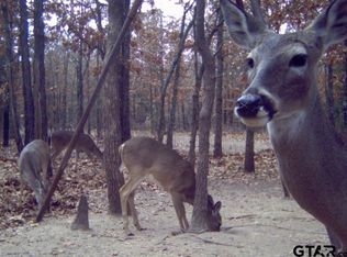 On Cres #1490, Pt, TX 75472