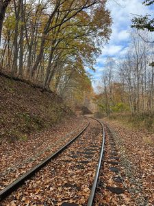 (Undisclosed Address), Rainelle, WV, 25962