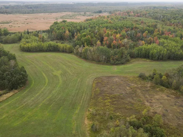 11048 W Wilson Rd, Marion, MI 49665
