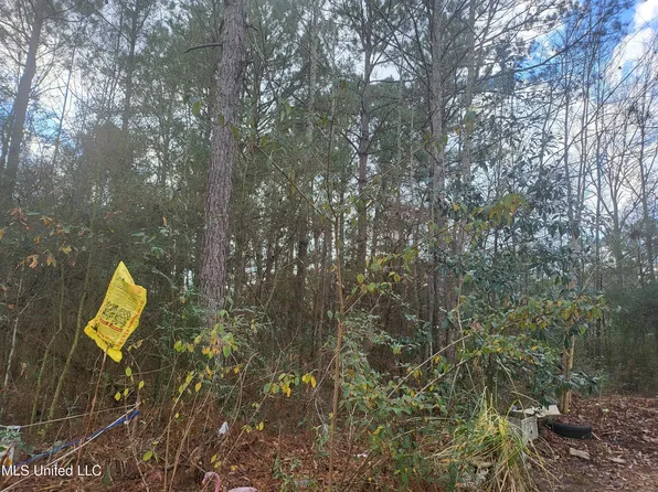 0 Jackson, Magnolia, MS 39652