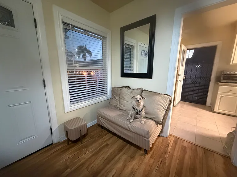 Shared living room. Front door on left hand side of photo, charming little dog named Murphy center frame, shared kitchen visible on right hand side of photo, also side door to private fenced yard/patio area.