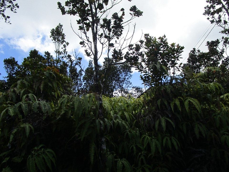 2nd image of Pa Alii St Lot 1744